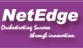 NetEdge Logo